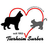 Tierheim Surber