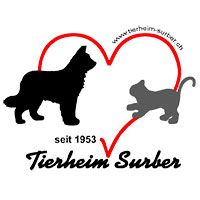 Tierheim Surber
